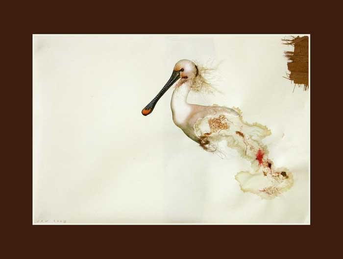 'Spoonbill'. 2009. Mixed media on paper. 30 x 42 cm